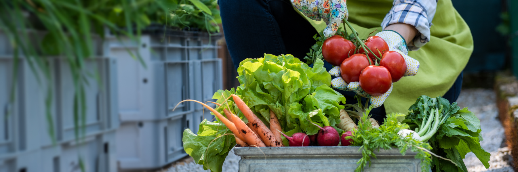 Farmbox Florida Blog